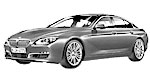 BMW F06 P1010 Fault Code